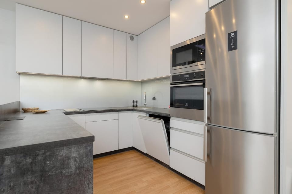 Kitchen or kitchenette, dishwasher, minibar, stove