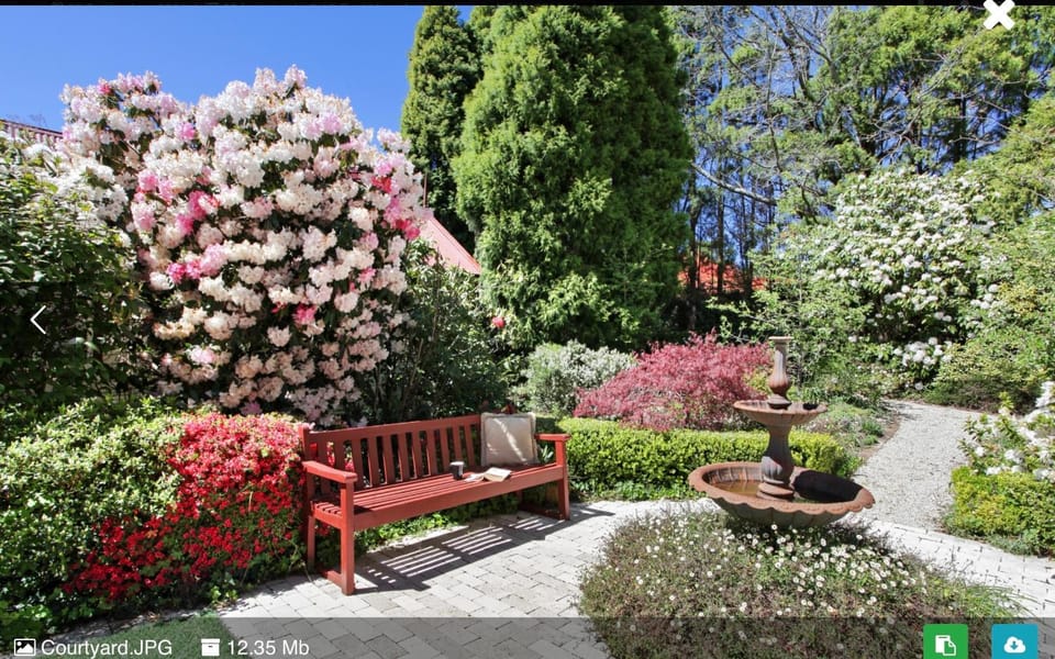 Garden view