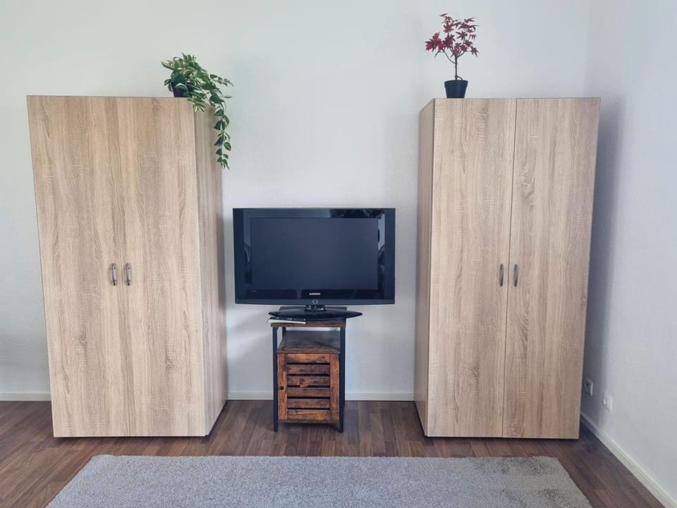 TV and multimedia, Evening entertainment, wardrobe