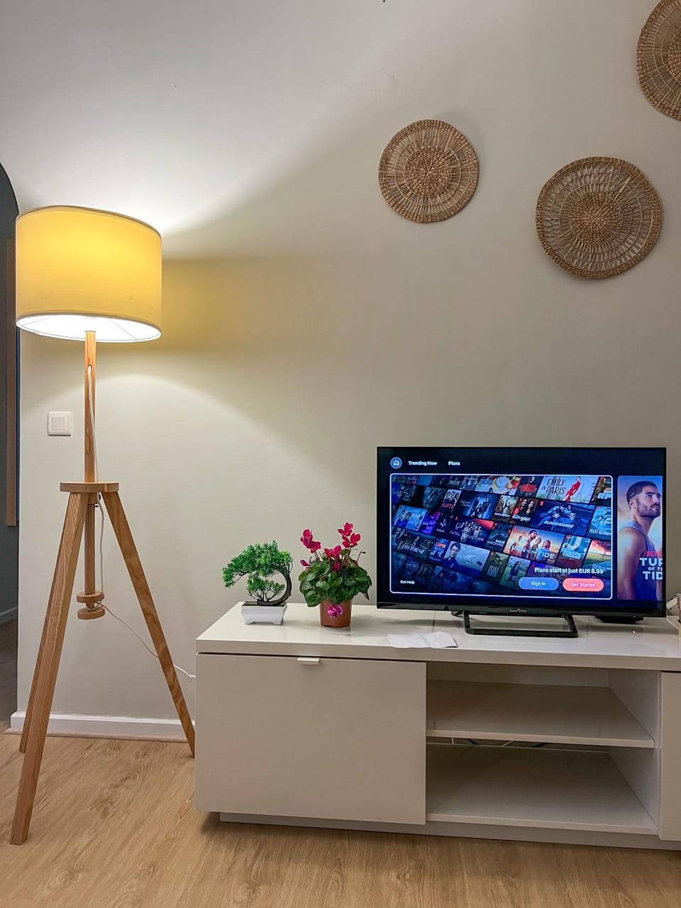 TV and multimedia, Evening entertainment