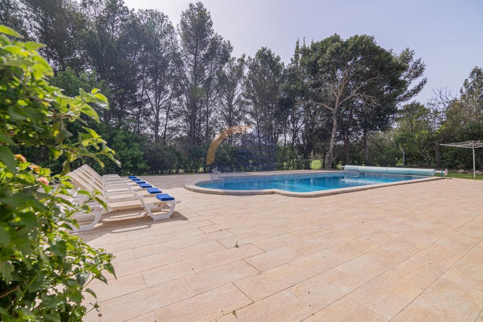 Day, Garden, Garden view, Pool view, Swimming pool, sunbed