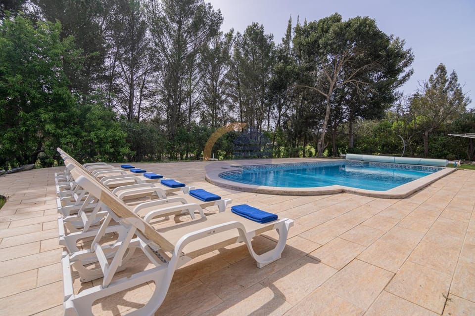 Day, Pool view, Swimming pool, sunbed