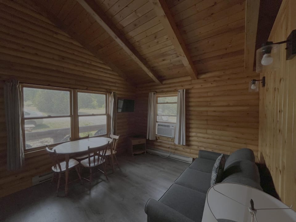 Living room, Seating area, Dining area, air conditioner