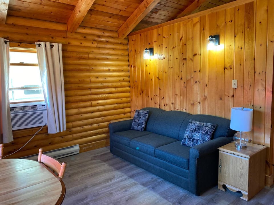 Living room, Seating area, air conditioner