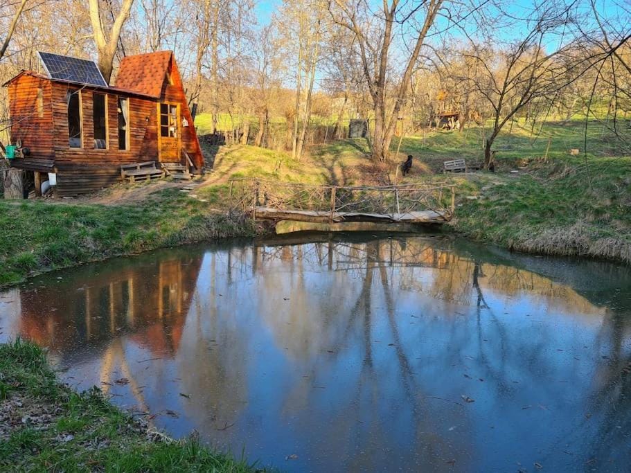 Winter, Lake view