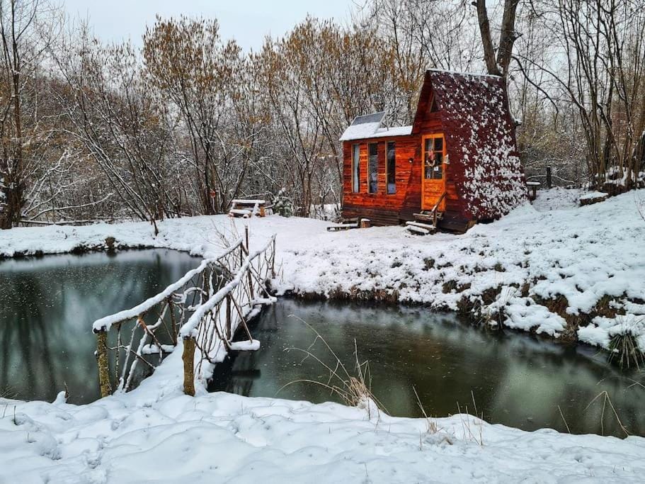 Winter, Lake view