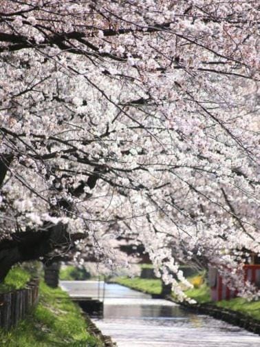 小江戸川越ハウス Bed and Breakfast in Saitama Prefecture