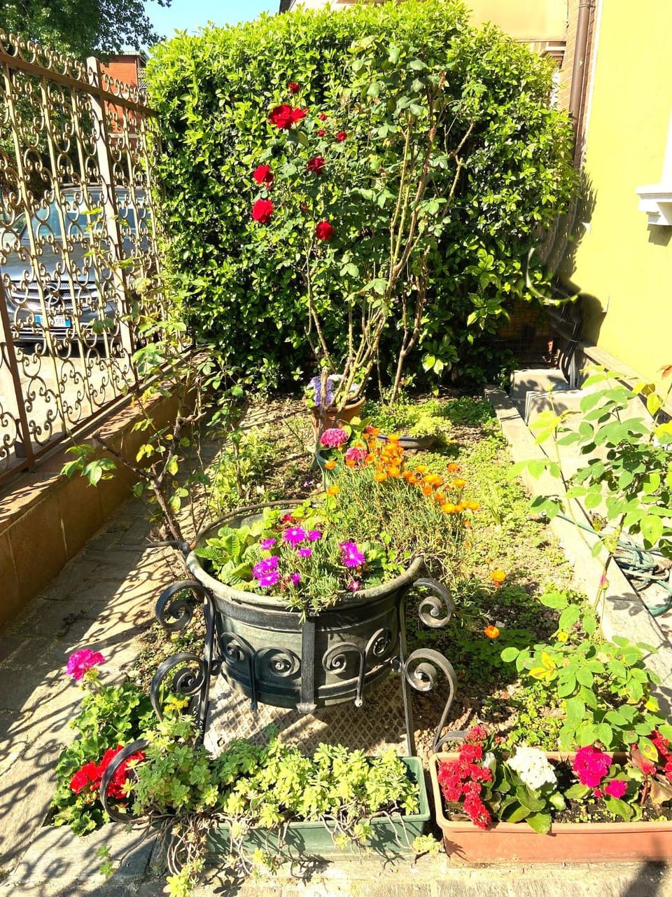 Garden, Garden, Garden view, Garden view