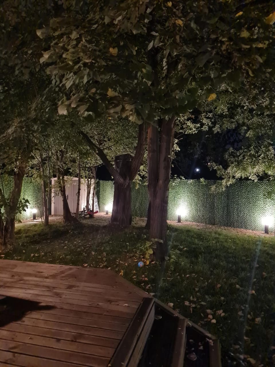 Night, Garden view