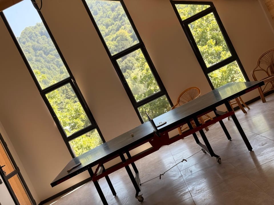 Children play ground, Game Room, Table tennis