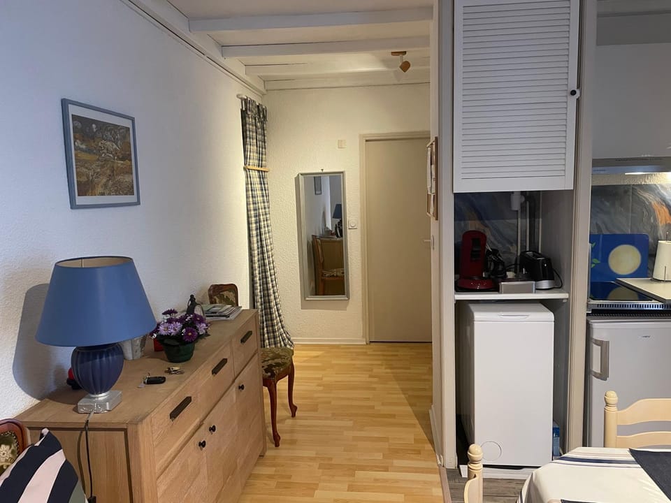 La Cascade appartement F2 Apartment in Nouvelle-Aquitaine