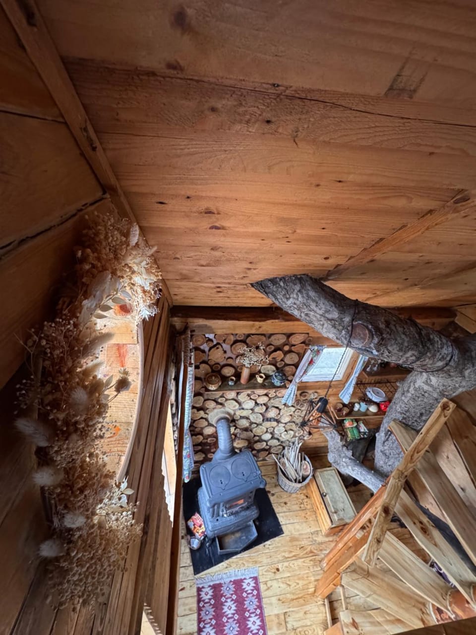 Apple Tree Cabin (Friendship Land) Cabin in Romania