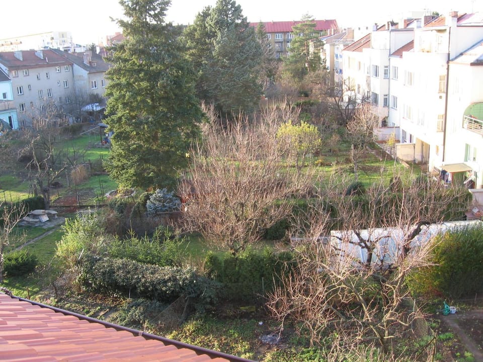 Facade/entrance, View (from property/room), Garden view