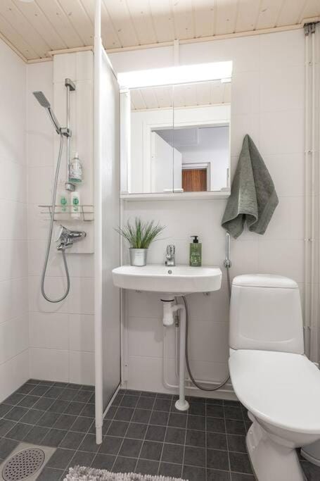 Shower, Toilet, Bathroom