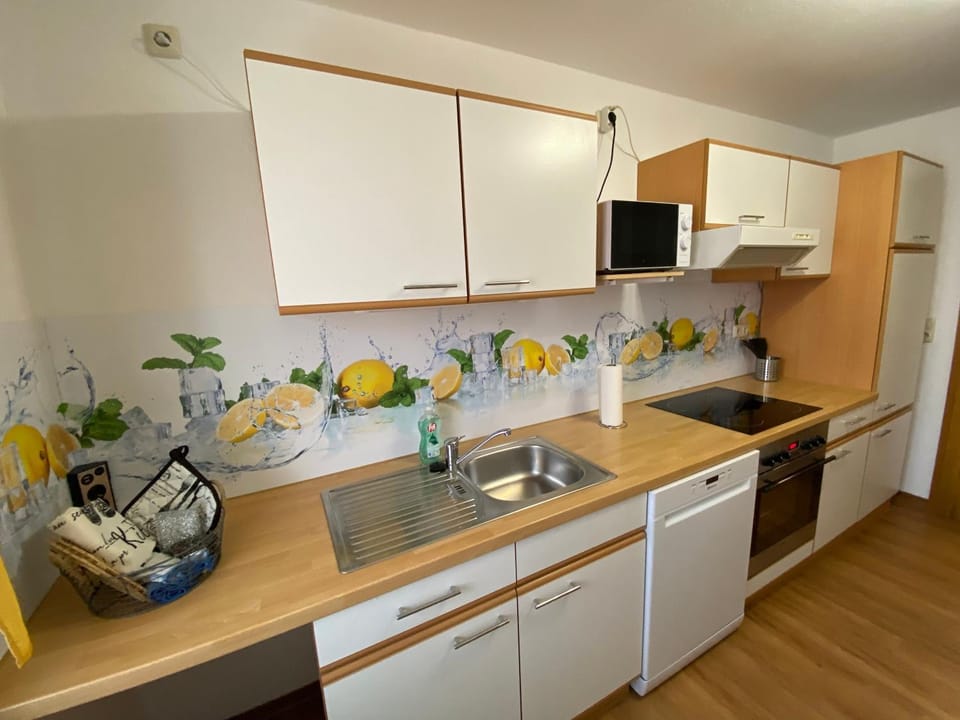 Kitchen or kitchenette, dishwasher, minibar, stove