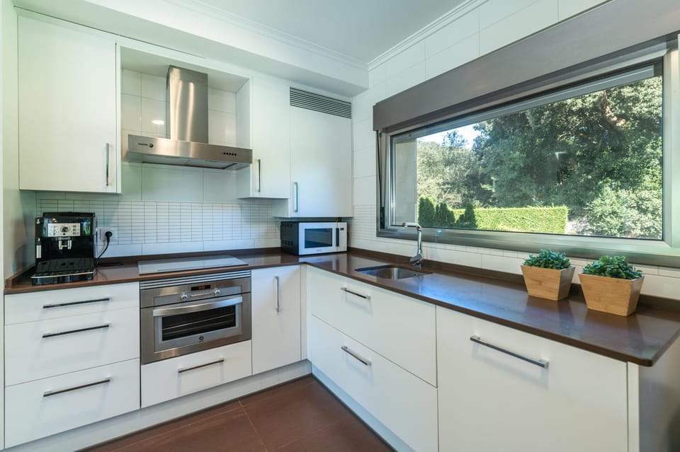 Kitchen or kitchenette, kitchen