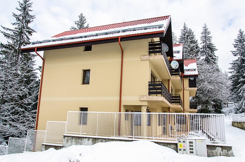 Holiday Vila Predeal Villa in Prahova, Romania