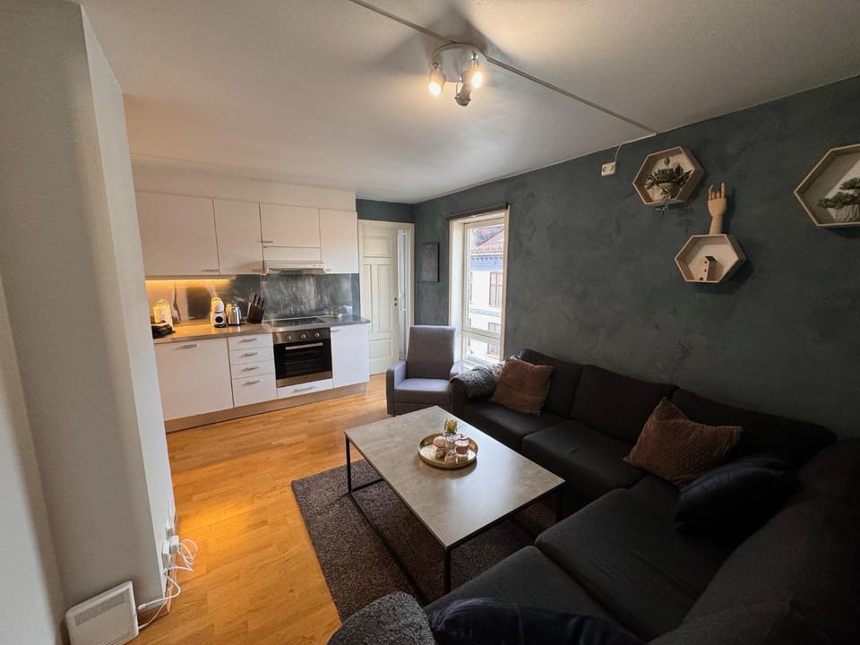 Super Central 3-bedroom apartment Apartment in Oslo
