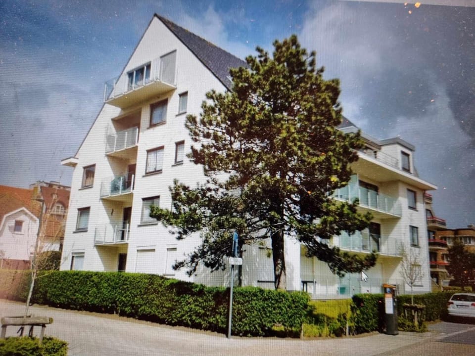 Property building, Neighbourhood, Garden