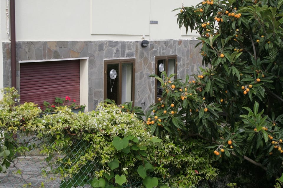 Property building, Day, Garden, Garden view