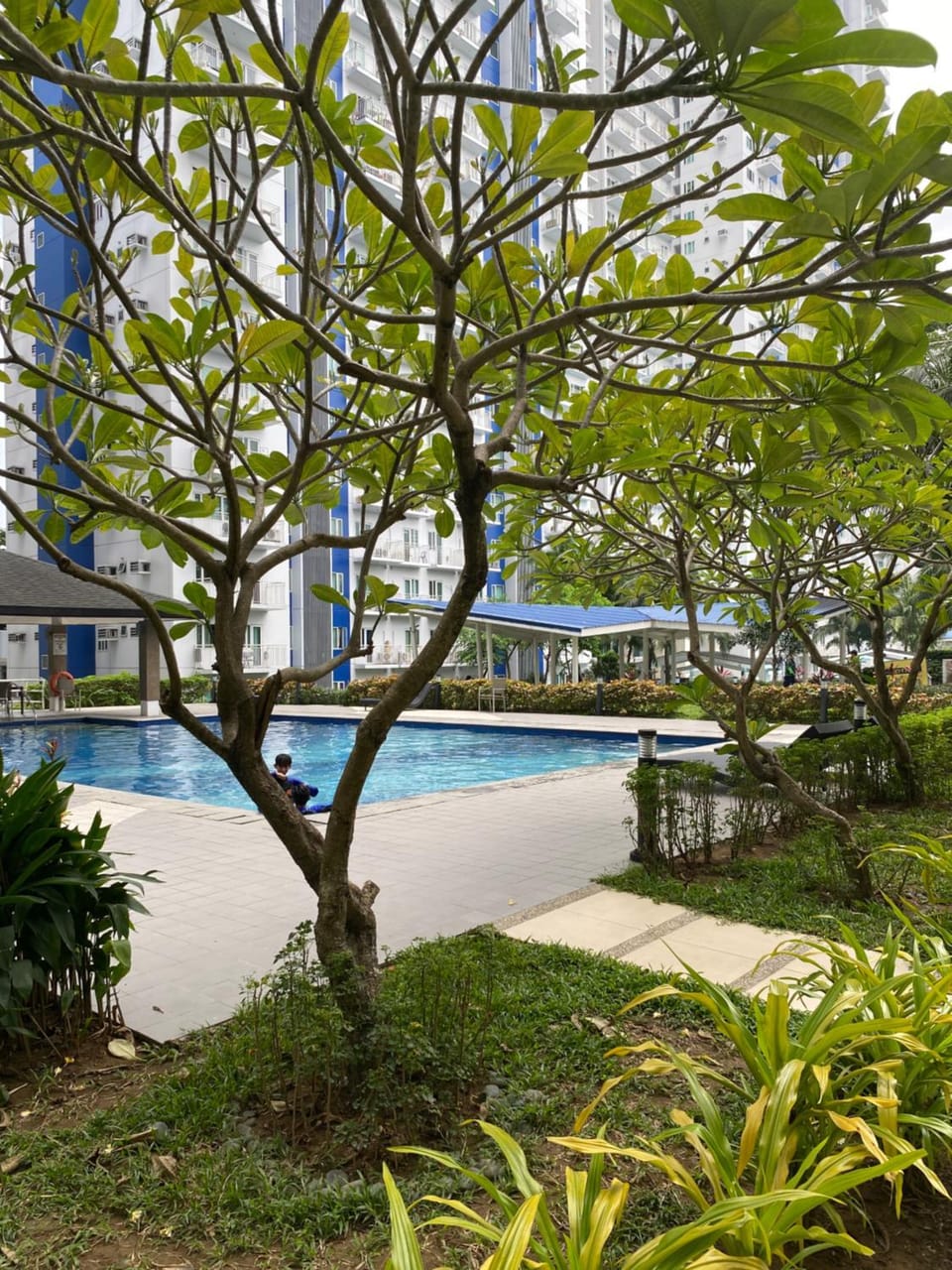 Garden, Swimming pool