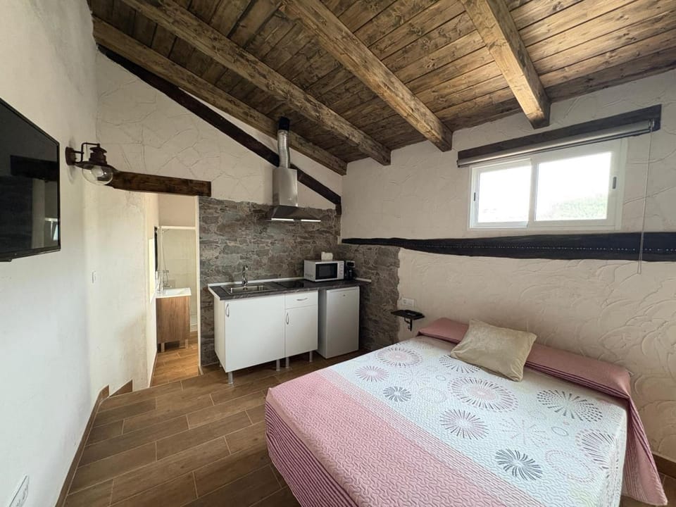 Bed, TV and multimedia, Kitchen or kitchenette, Bedroom, minibar