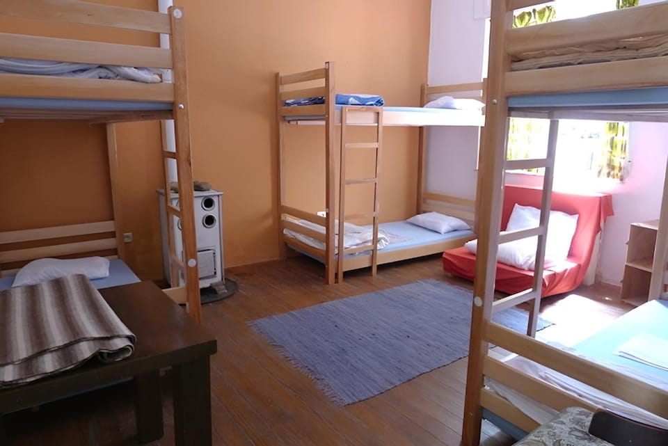 Bed, Photo of the whole room, bunk bed