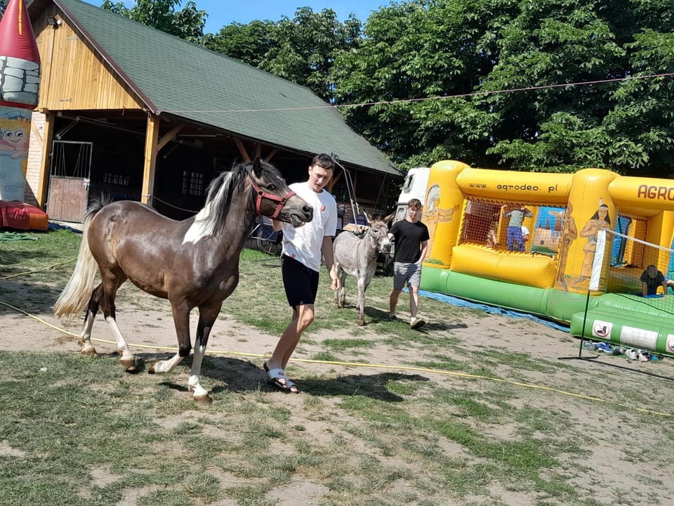 AGRODEO Gospodarstwo Agroturystyczne Apartment in Poland