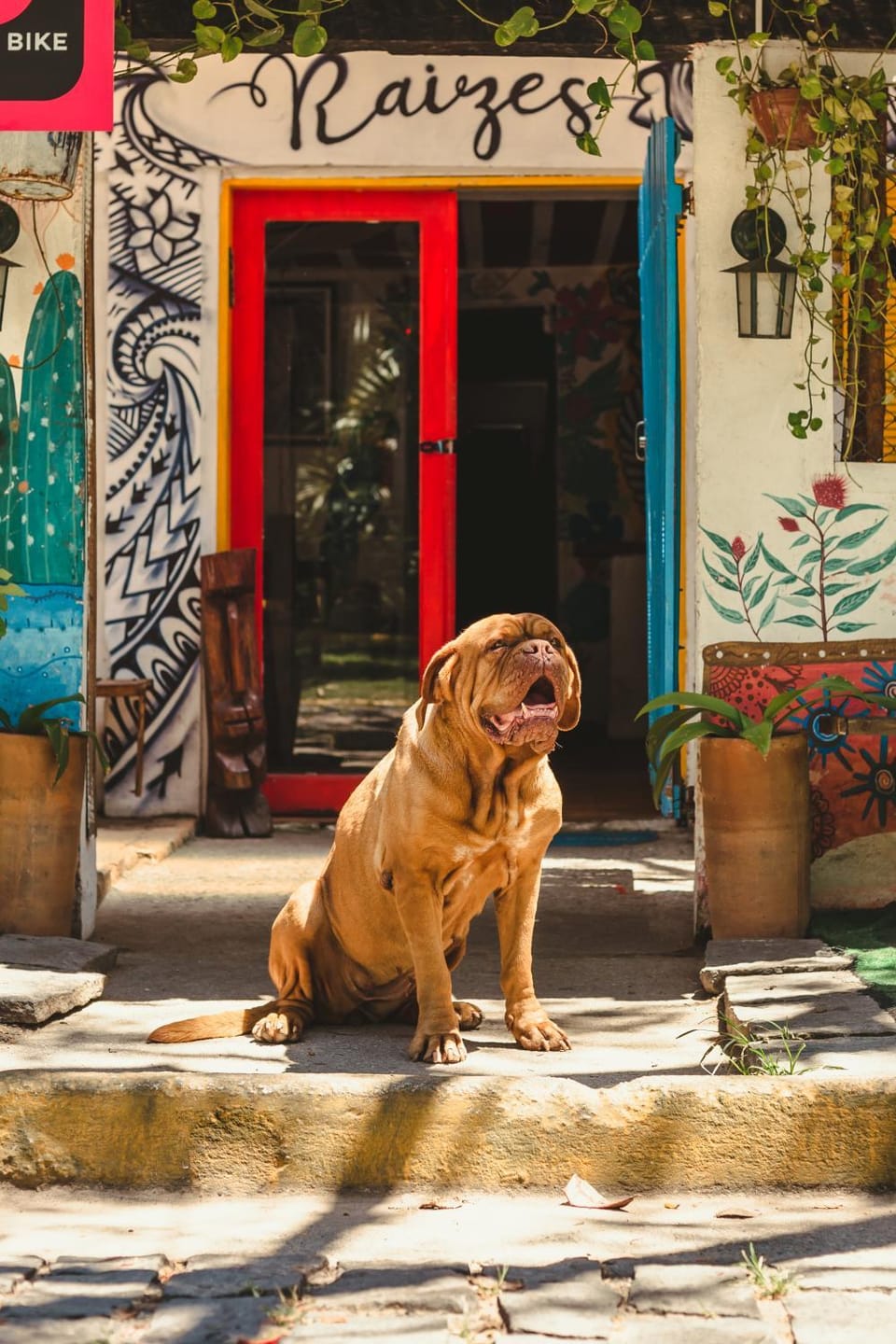 Property building, Day, Pets