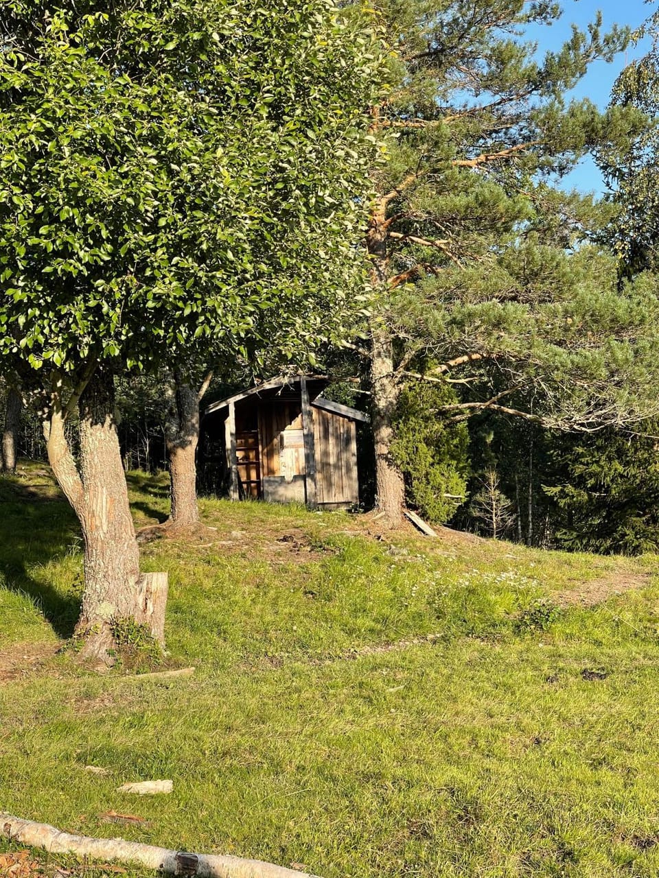 Day, Natural landscape, Garden, Garden view