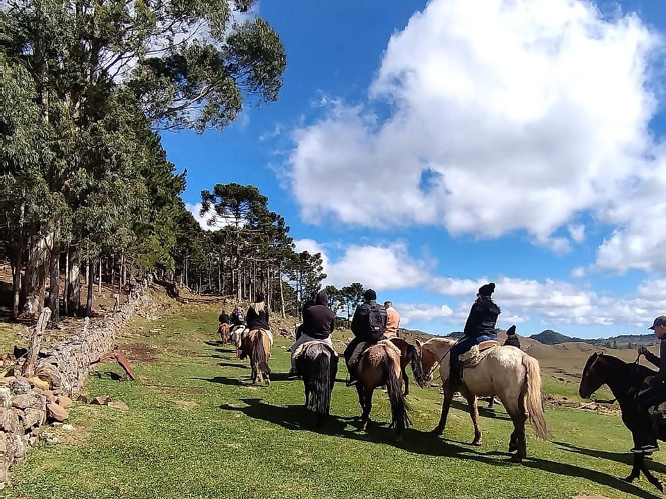 Pousada Laranjeiras Ecoturismo & Passeios Nature lodge in State of Santa Catarina
