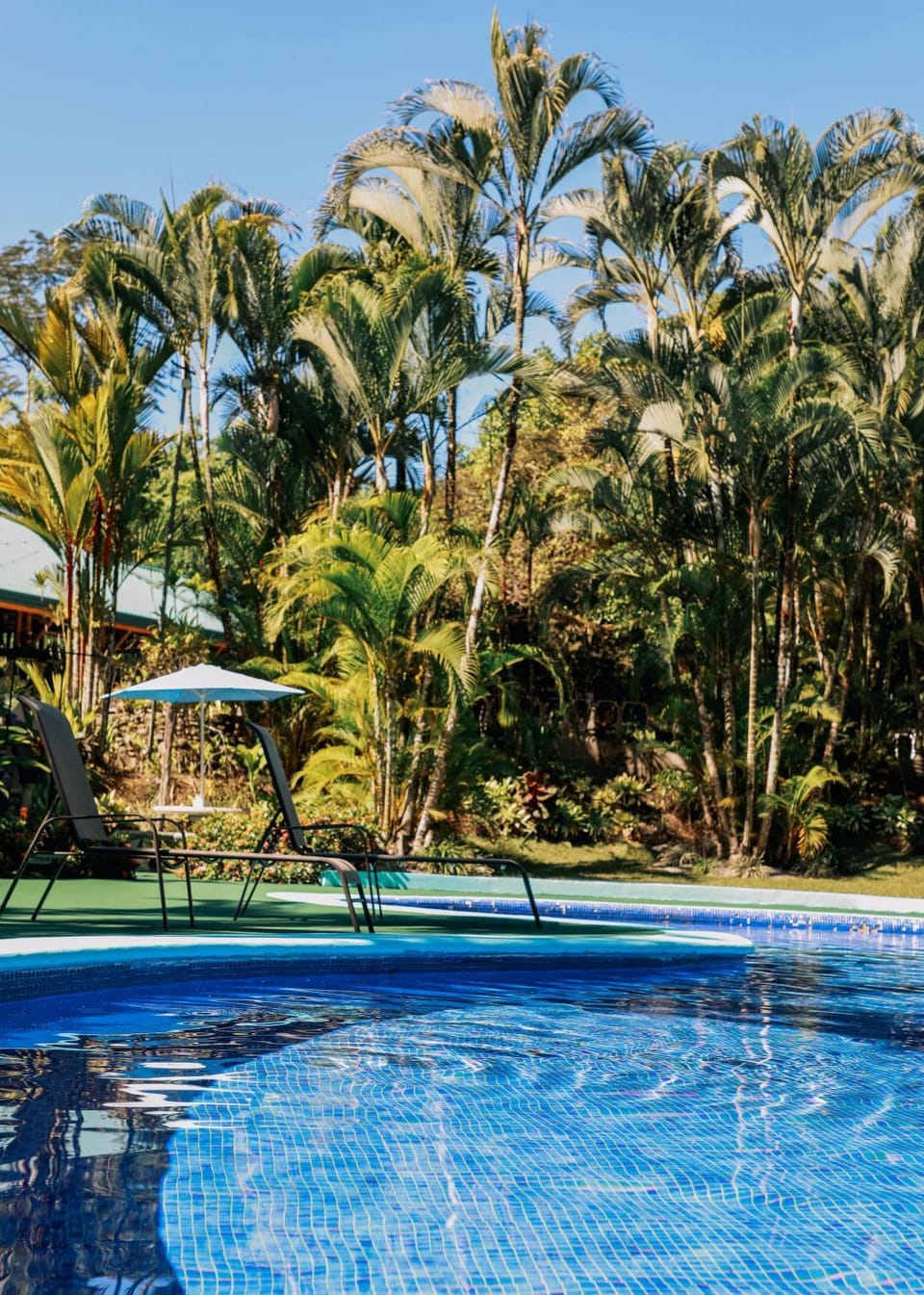 Garden, Garden view, Pool view, Swimming pool