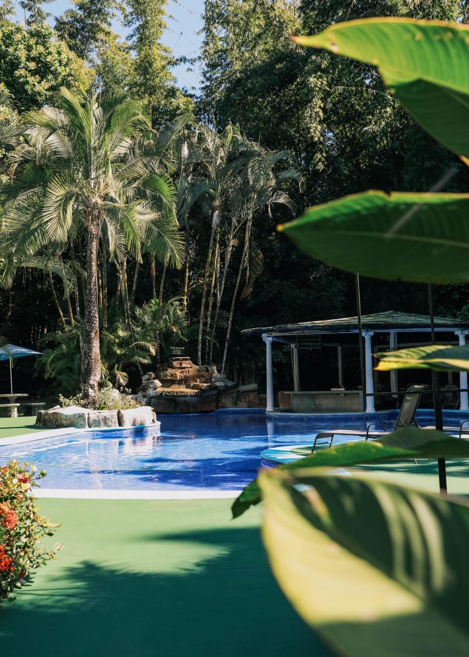Day, Pool view, Swimming pool