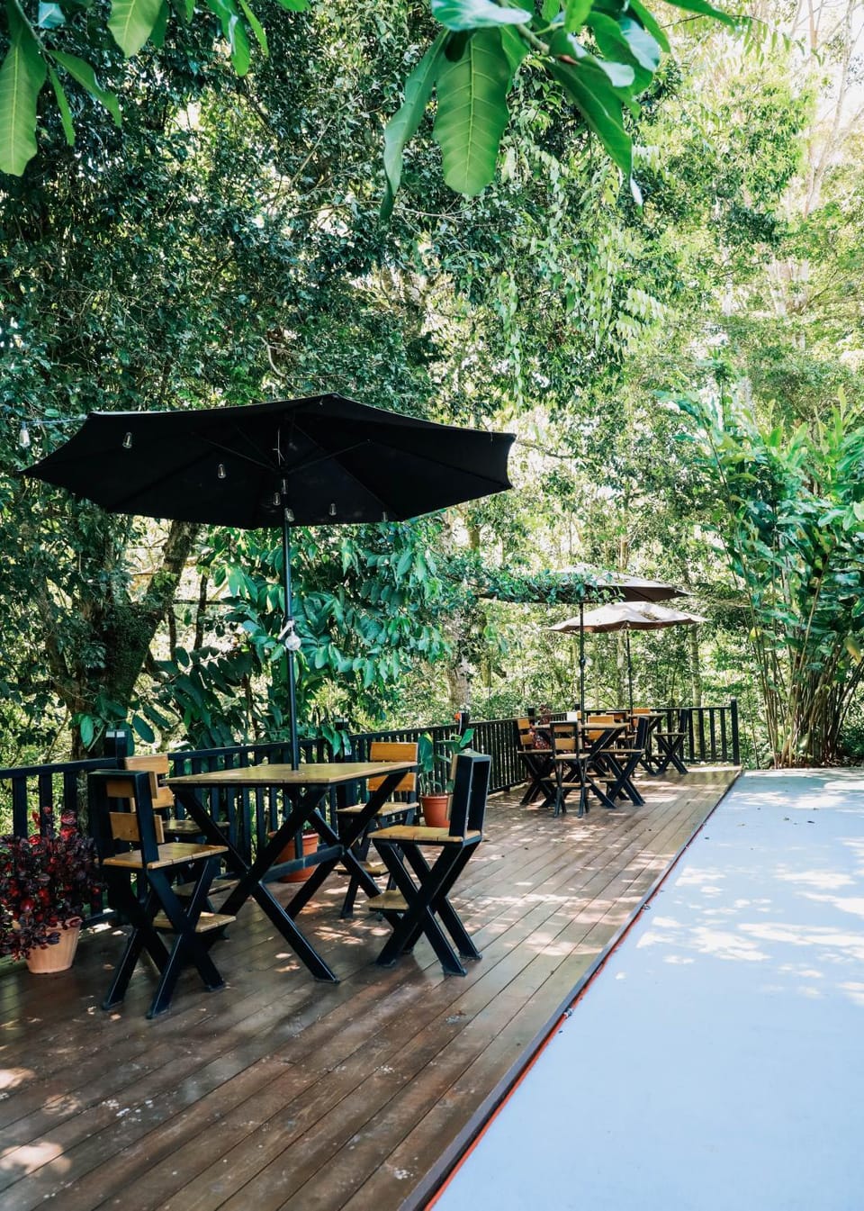 Day, Garden, Dining area, Garden view