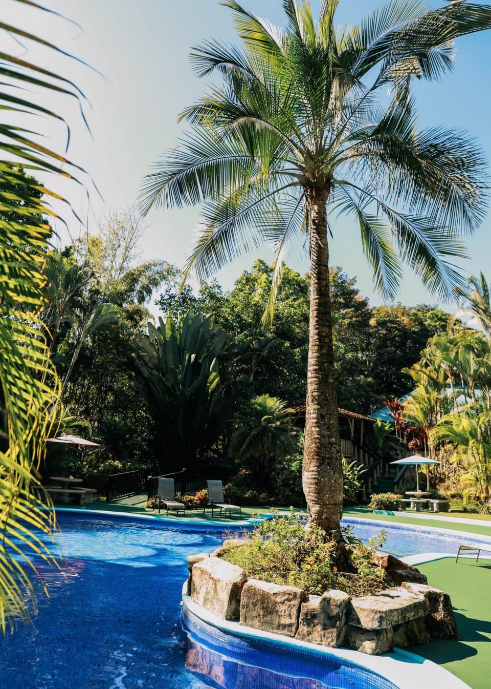 Garden, Garden view, Pool view, Swimming pool