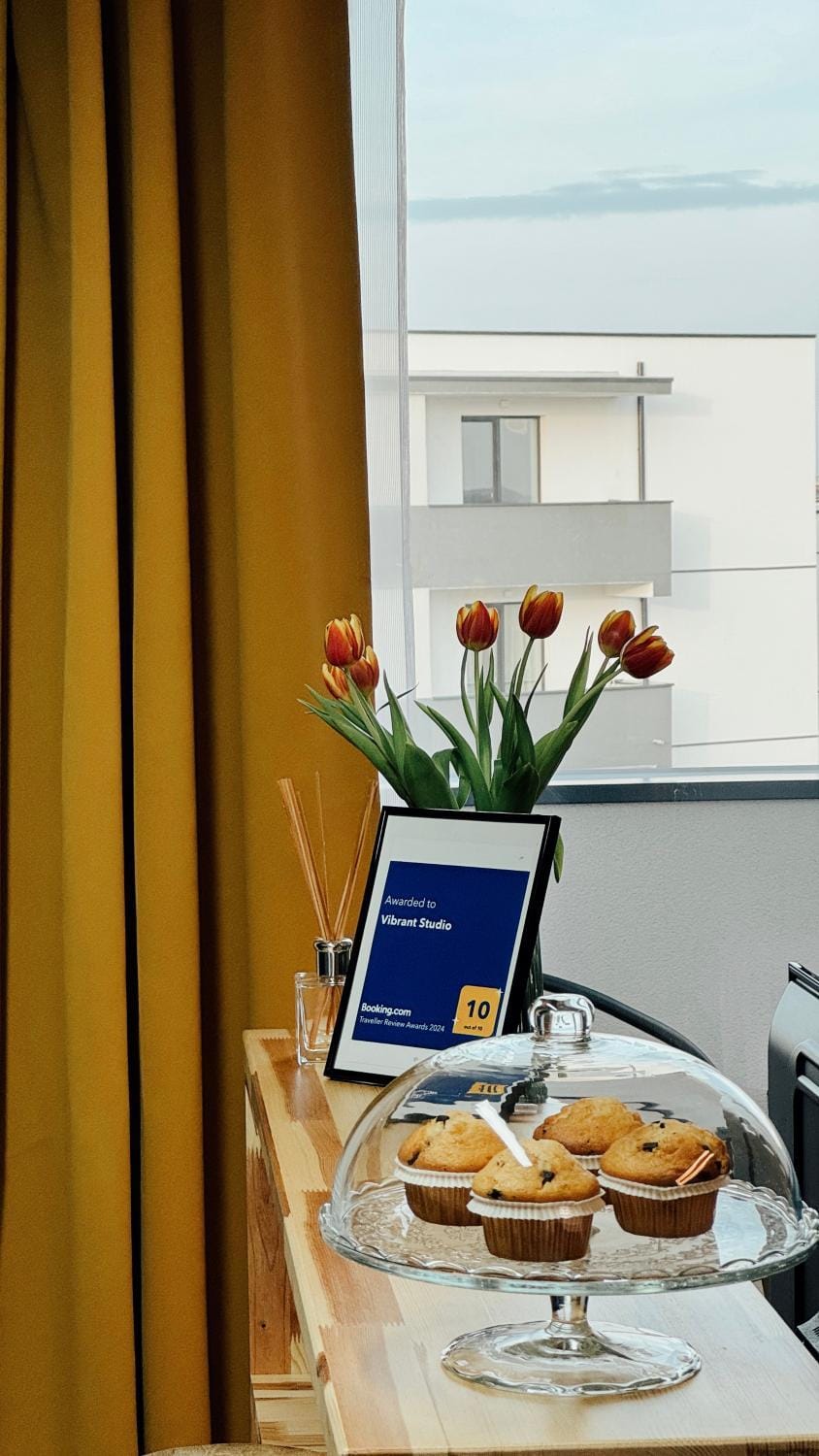 Vibrant Studio Apartment in Timisoara