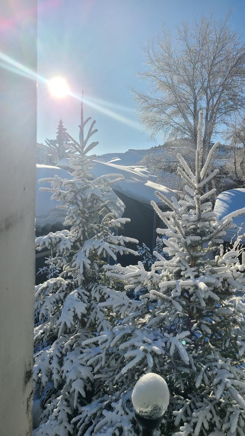 Winter