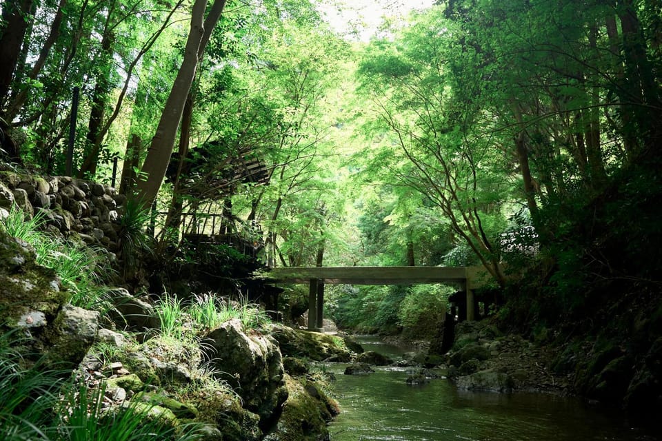 Day, Natural landscape, River view