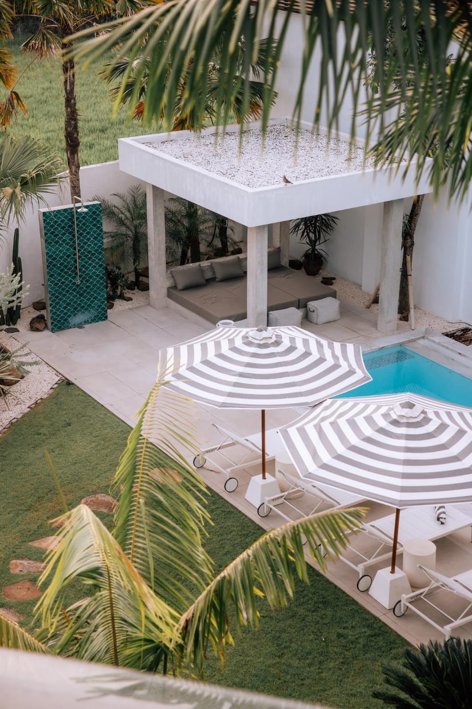 Garden, Garden view, Pool view, Swimming pool, sunbed
