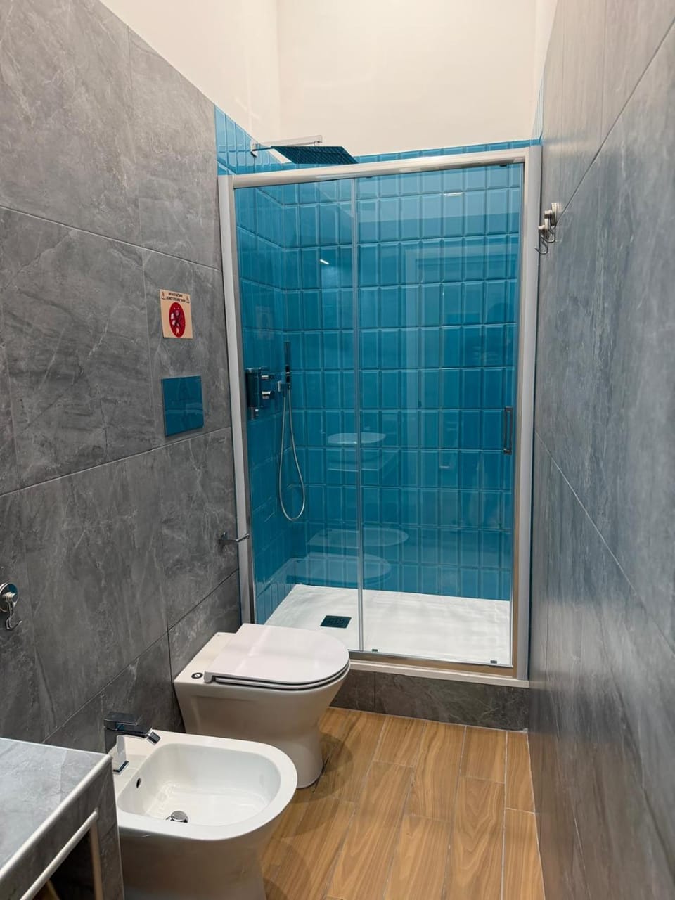 Shower, Toilet, Bathroom, bidet