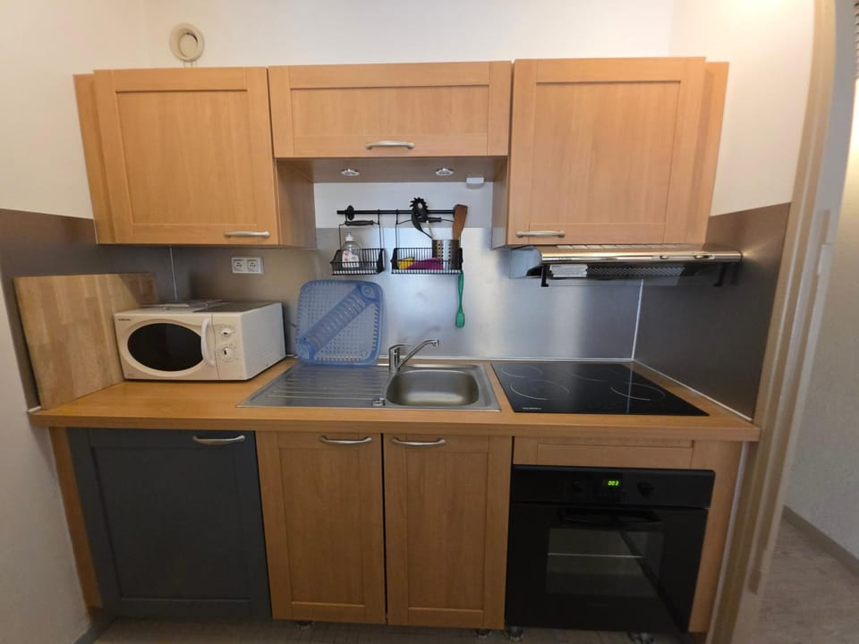 Le Sappey 31 Apartment in Les Deux Alpes
