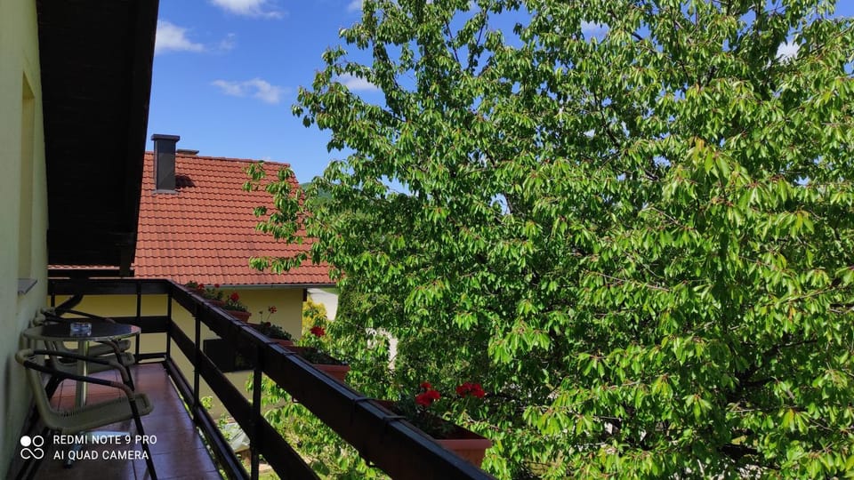 Balcony/Terrace, Garden view