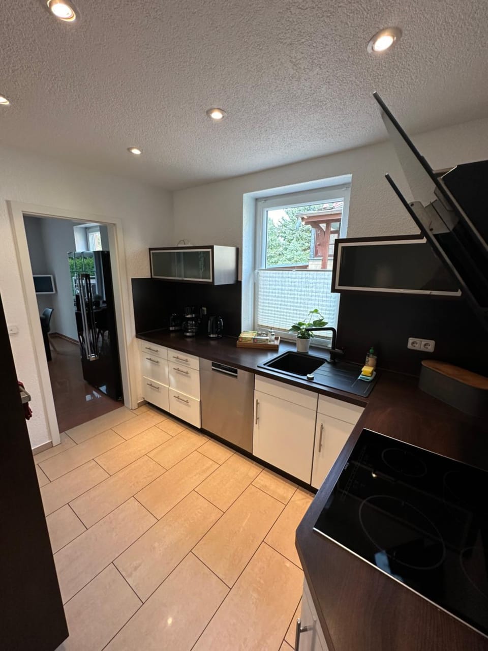 Kitchen or kitchenette, dishwasher, minibar, pet friendly, stove