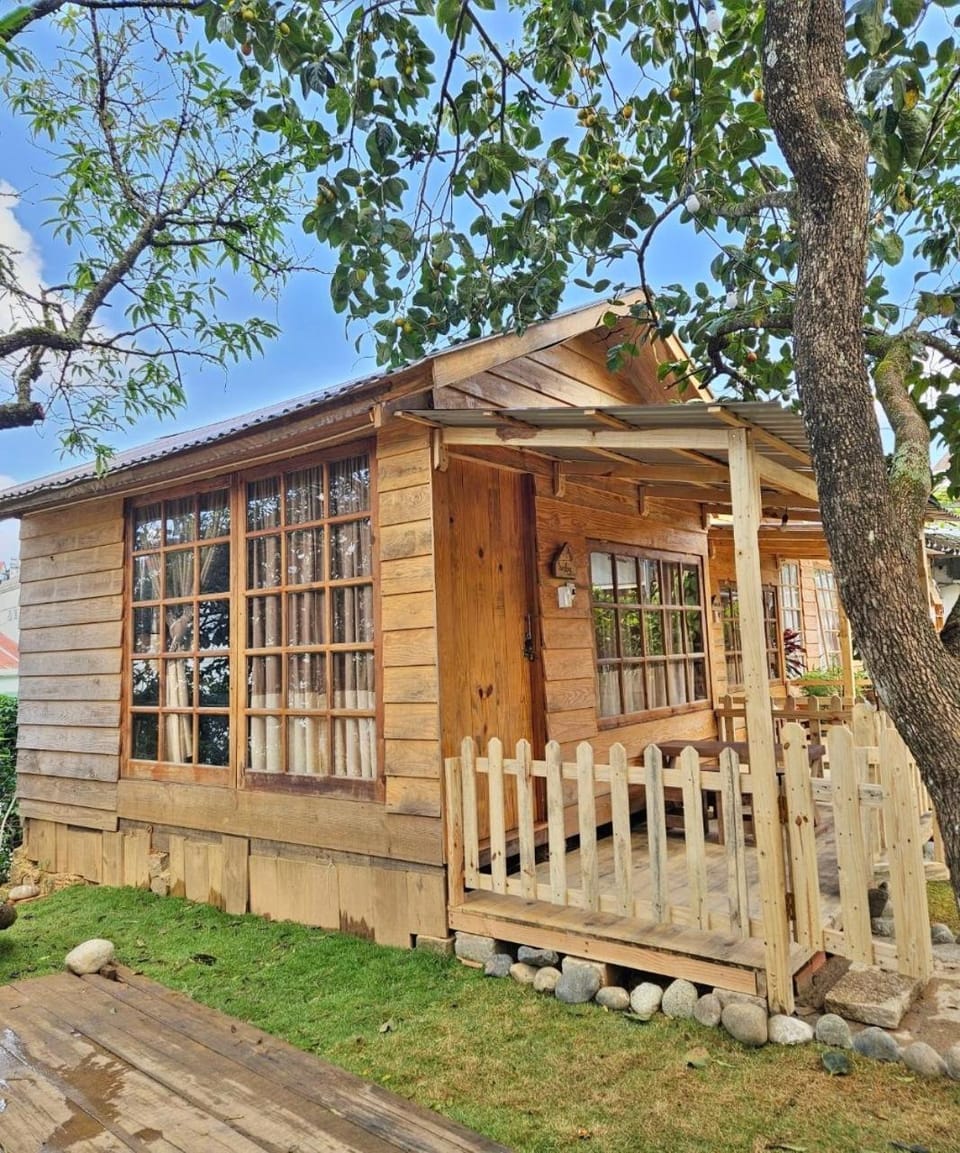 Property building, Garden view
