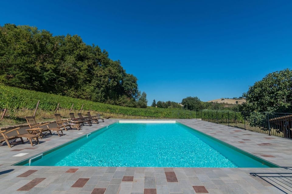 Natural landscape, Swimming pool, sunbed
