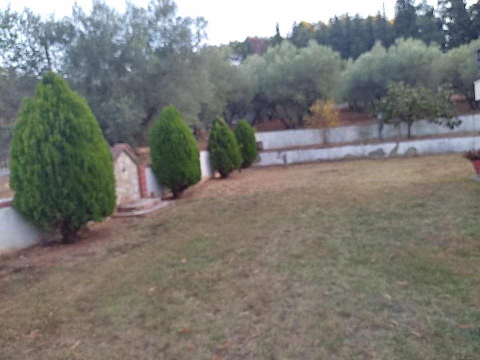 Garden, Garden view