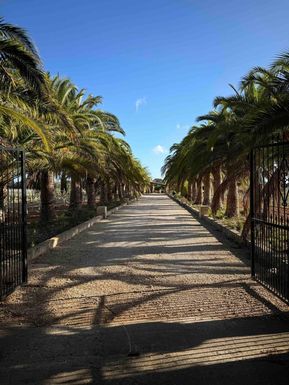 Patio, Garden, Parking