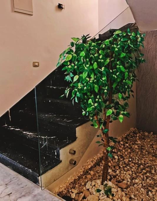 Royal Elegance Room Apartment hotel in Egypt