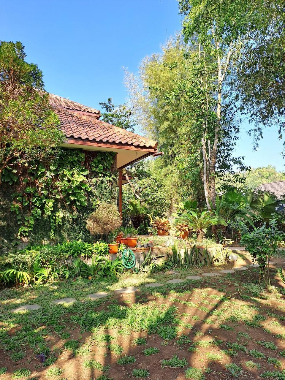Garden view