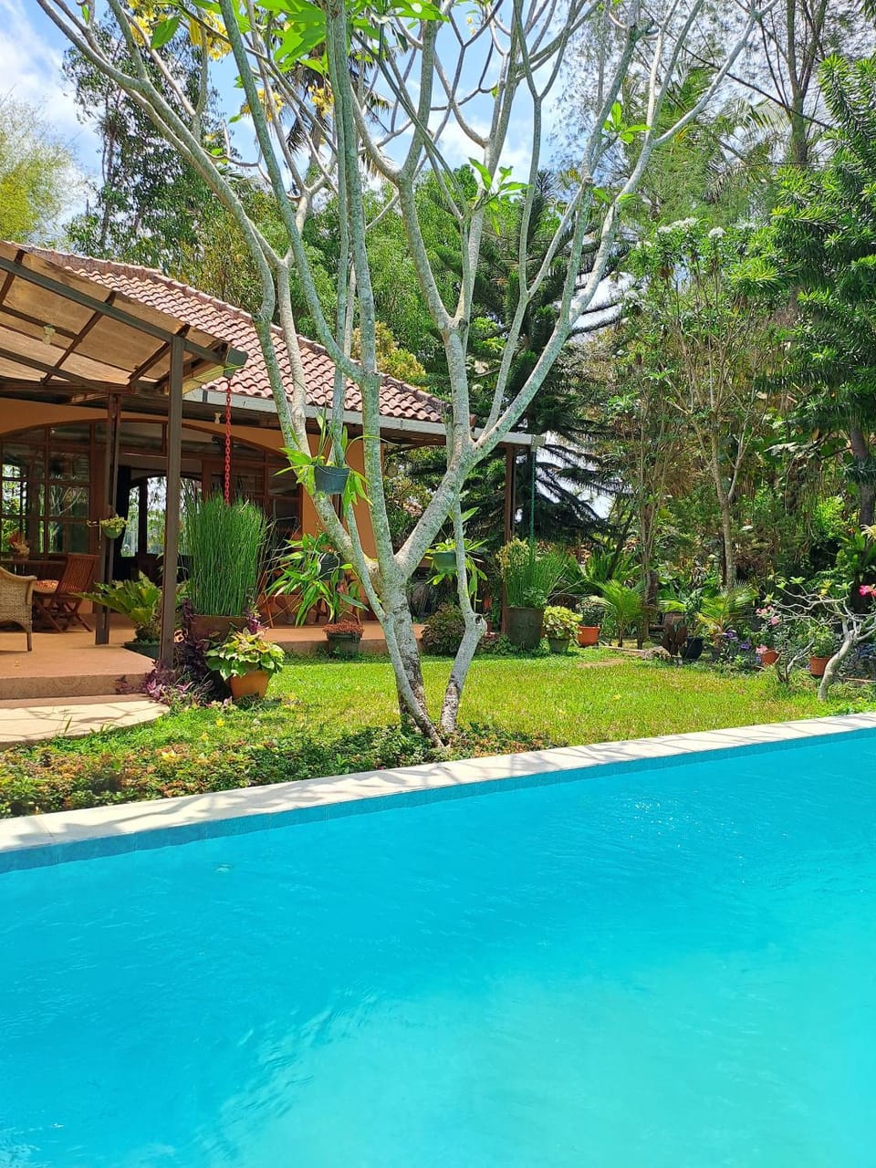Swimming pool